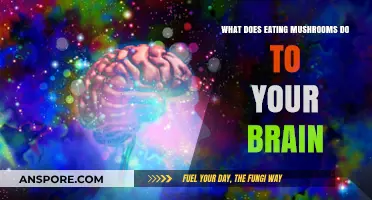 Mushrooms and Mind: Unveiling Brain-Boosting Benefits and Cognitive Effects