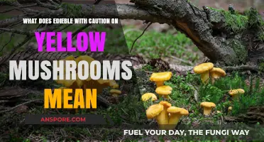 Edible with Caution: Understanding the Risks of Yellow Mushrooms