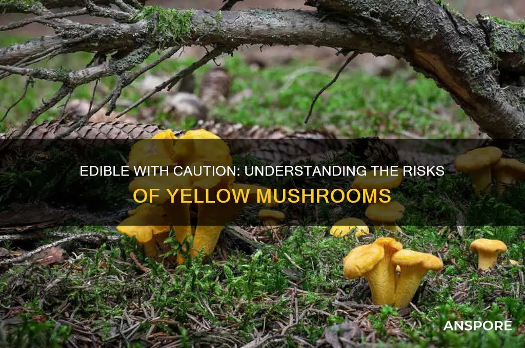 what does edieble with caution on yellow mushrooms mean
