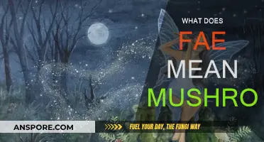 Fae Mushrooms: A Guide to Their Meaning and Magic