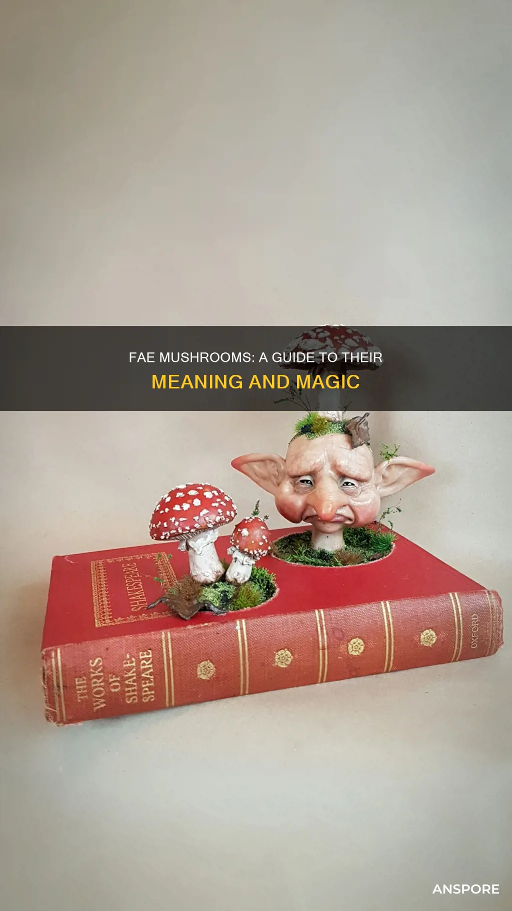 what does fae mean mushrooms