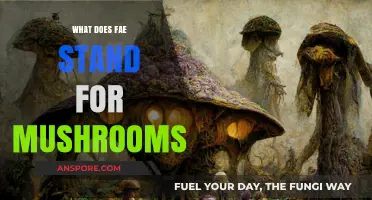 Unveiling the Mystery: What Does Fae Stand for in Mushrooms?