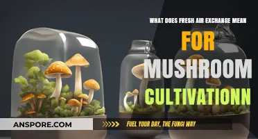 Fresh Air Exchange: Key to Successful Mushroom Cultivation Techniques