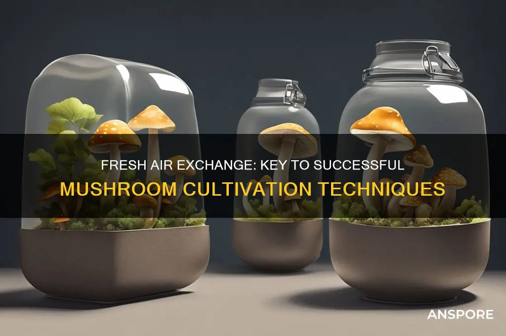 what does fresh air exchange mean for mushroom cultivationn