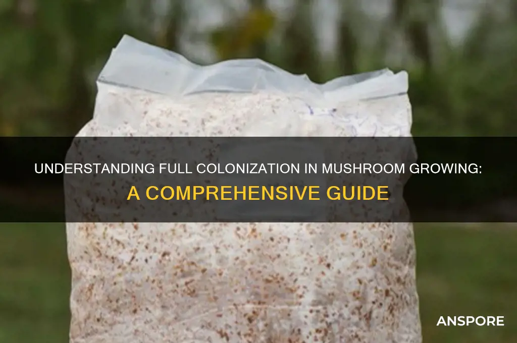 what does full colonization mean mushroom growing
