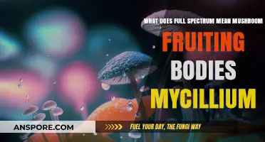 Understanding Full Spectrum Mushroom Fruiting Bodies and Mycelium Benefits