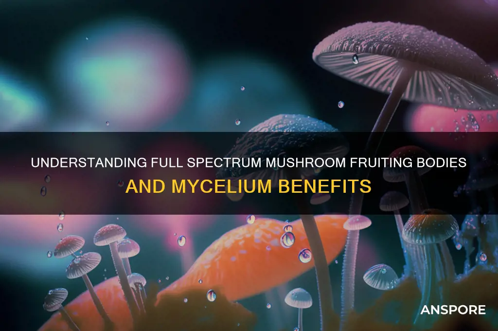 what does full spectrum mean mushroom fruiting bodies mycillium