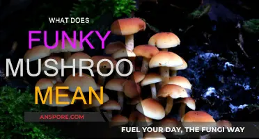 Funky Mushroom: A Strange and Wonderful World