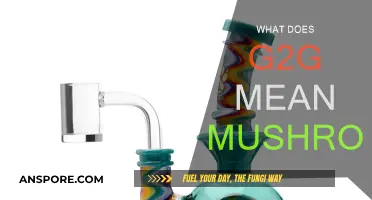 G2G Mushrooms: What Does It Mean?
