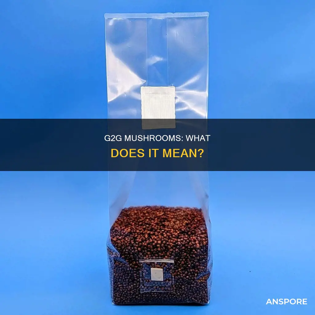 what does g2g mean mushrooms