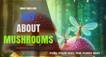 Divine Insights: Exploring God's Perspective on Mushrooms in Scripture