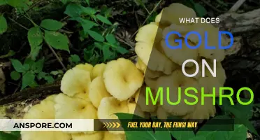 Golden Mushrooms: Nature's Treasure or Edible Art?