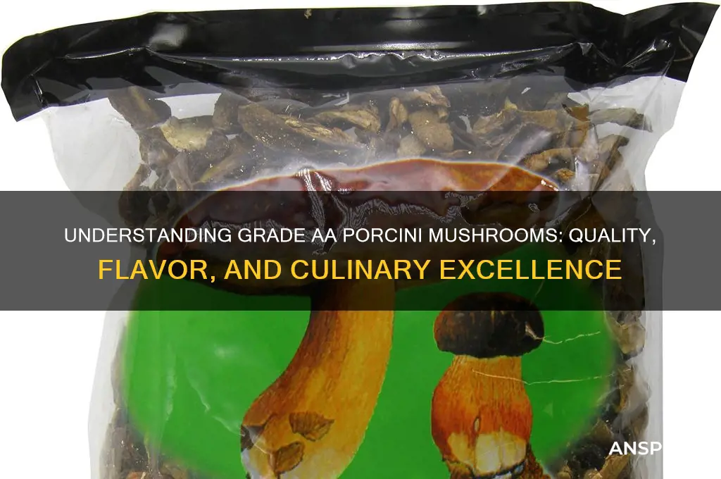 what does gradeaa mean for porcini mushrooms