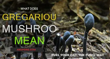 Gregarious Mushrooms: Nature's Bountiful Delights