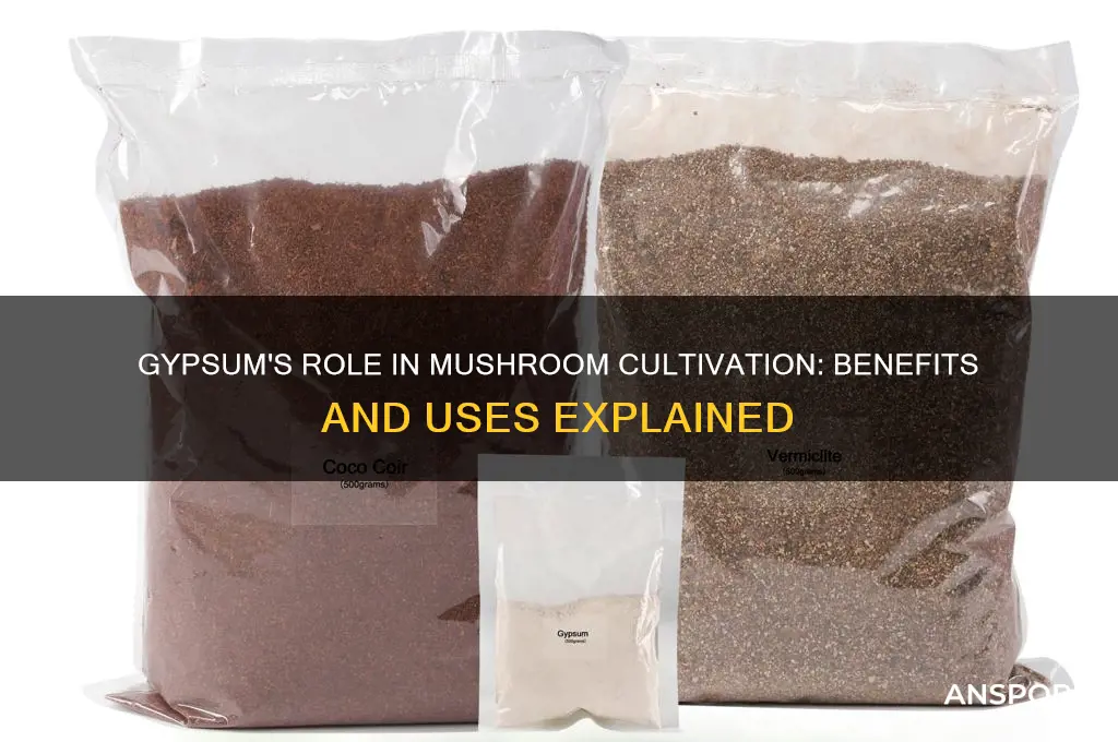 what does gypsum do for mushrooms