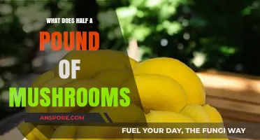 Half a Pound of Mushrooms: Uses, Benefits, and Culinary Tips
