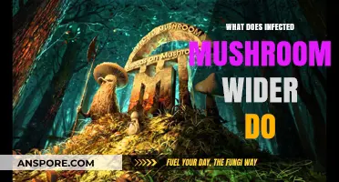 Understanding Infected Mushroom's Wider: Effects, Uses, and Impact Explained