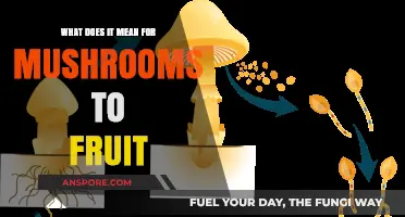 Understanding Mushroom Fruiting: The Fascinating Process of Spores and Growth