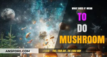 Exploring Psilocybin: What Does It Mean to Do Mushrooms?