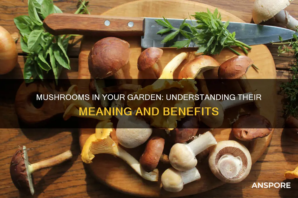 what does it mean to have mushrooms in your garden