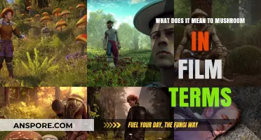 Understanding the Film Term 'Mushrooming': Techniques and Effects Explained