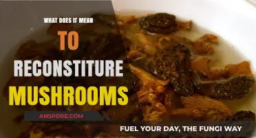 Reconstituting Mushrooms: Unlocking Flavor and Texture in Culinary Magic