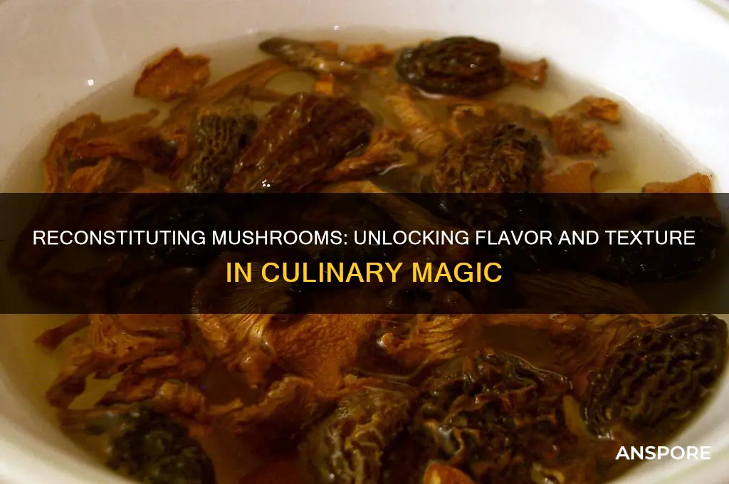 what does it mean to reconstiture mushrooms