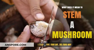 Understanding Mushroom Stemming: Techniques, Benefits, and Culinary Uses Explained