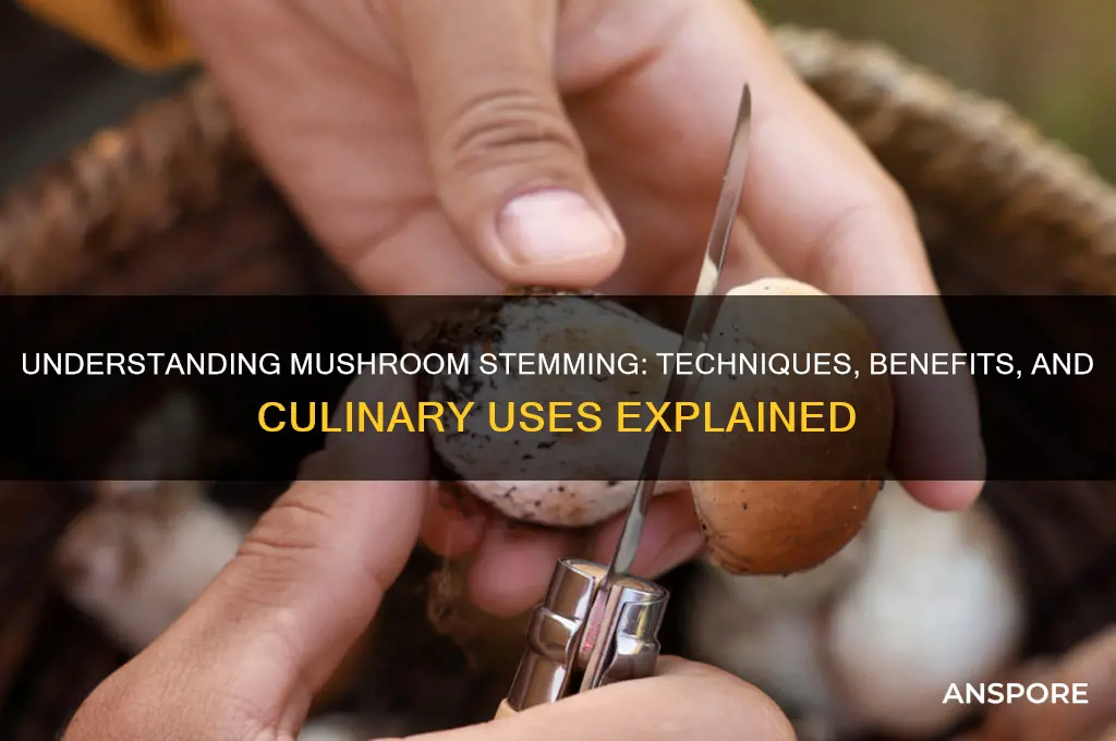 what does it mean to stem a mushroom