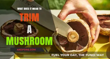 Understanding Mushroom Trimming: Techniques, Benefits, and Best Practices Explained