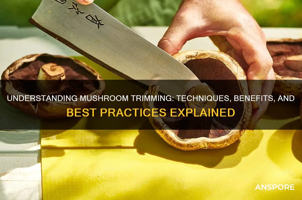 what does it mean to trim a mushroom