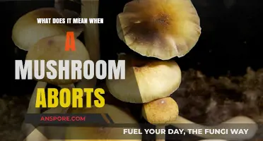 Understanding Mushroom Abortion: Causes, Signs, and Prevention Tips