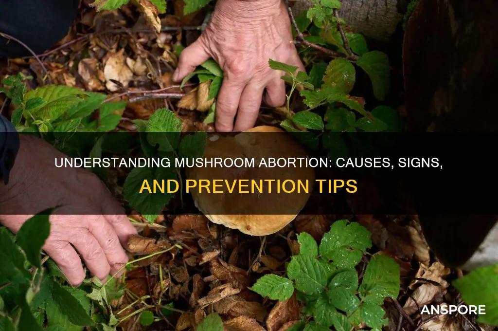 what does it mean when a mushroom aborts