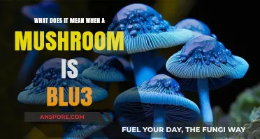 Unveiling the Mystery: What Does a Blue Mushroom Signify?