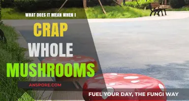 Whole Mushrooms in Stool: Causes, Concerns, and When to Seek Help