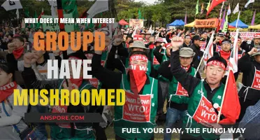 Exploring the Surge: What Mushrooming Interest Groups Signify for Society