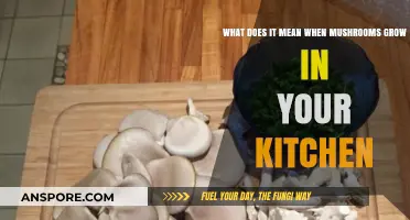Mushrooms in Your Kitchen: Causes, Concerns, and How to Handle Them