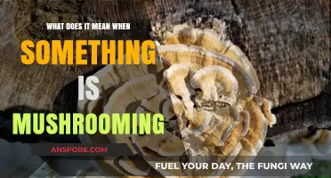 Understanding Mushrooming: Rapid Growth, Implications, and Real-World Applications Explained