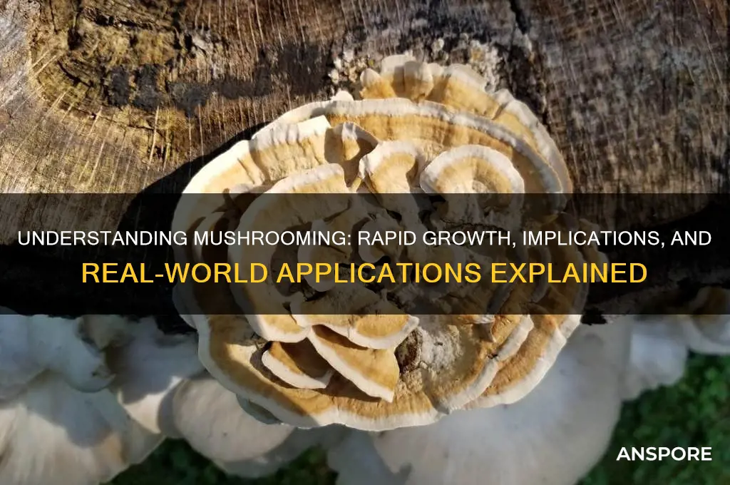 what does it mean when something is mushrooming