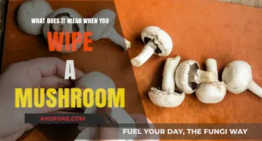 Understanding the Meaning Behind Wiping a Mushroom: A Comprehensive Guide