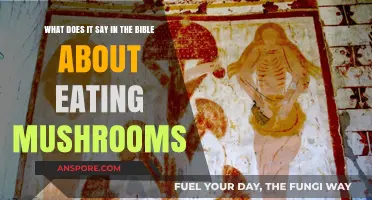 Biblical Insights on Mushrooms: What Does Scripture Say About Eating Them?