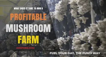 Profitable Mushroom Farming: Essential Steps for Success and Sustainability
