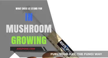 Understanding LC in Mushroom Cultivation: A Beginner's Guide to Liquid Culture