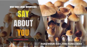 Liking Mushrooms: Unveiling Personality Traits and Culinary Preferences