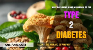 Lion's Mane Mushroom Benefits for Managing Type 2 Diabetes
