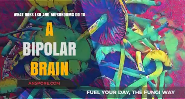 LSD, Mushrooms, and Bipolar Brains: Risks, Effects, and Insights