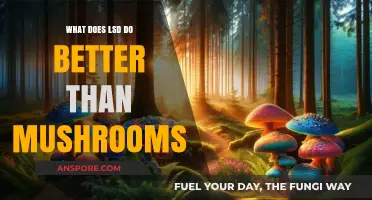 LSD vs. Mushrooms: Unique Effects and Superior Experiences Explained