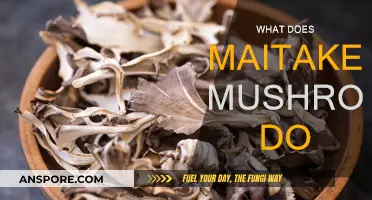 Maitake Mushrooms: Health Benefits and Uses