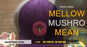 Mellow Mushroom: Unveiling the Mystery Behind the Name