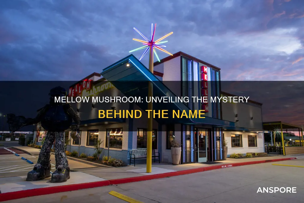 what does mellow mushroom mean